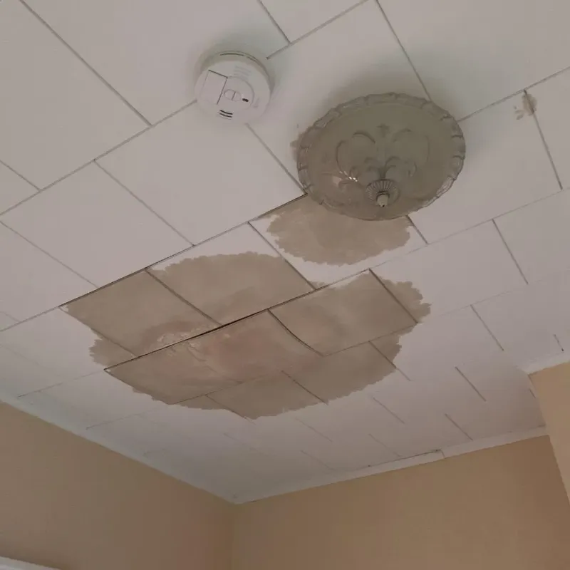 Ceiling Water Damage Repair in Elizabethton, TN