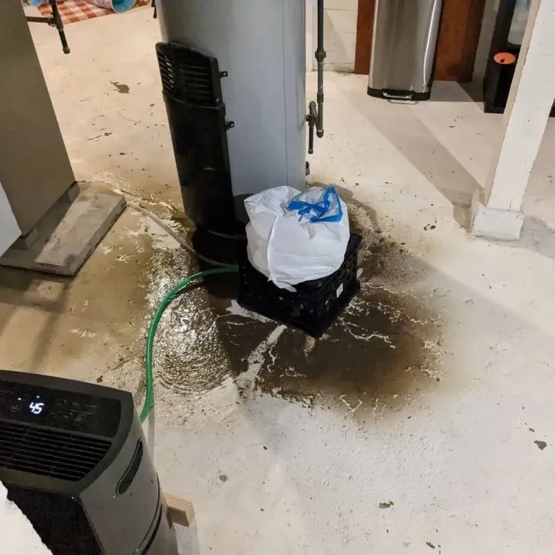 Sewage Backup Cleanup Service in Elizabethton, TN